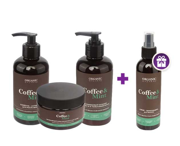 ORGANIC GURU gift set of self care + heat protector as a gift