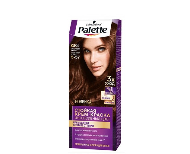 PALETTE hair dye GK4 